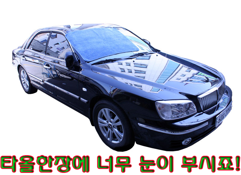 트위스트세차걸레大/40x100cm(두겹))